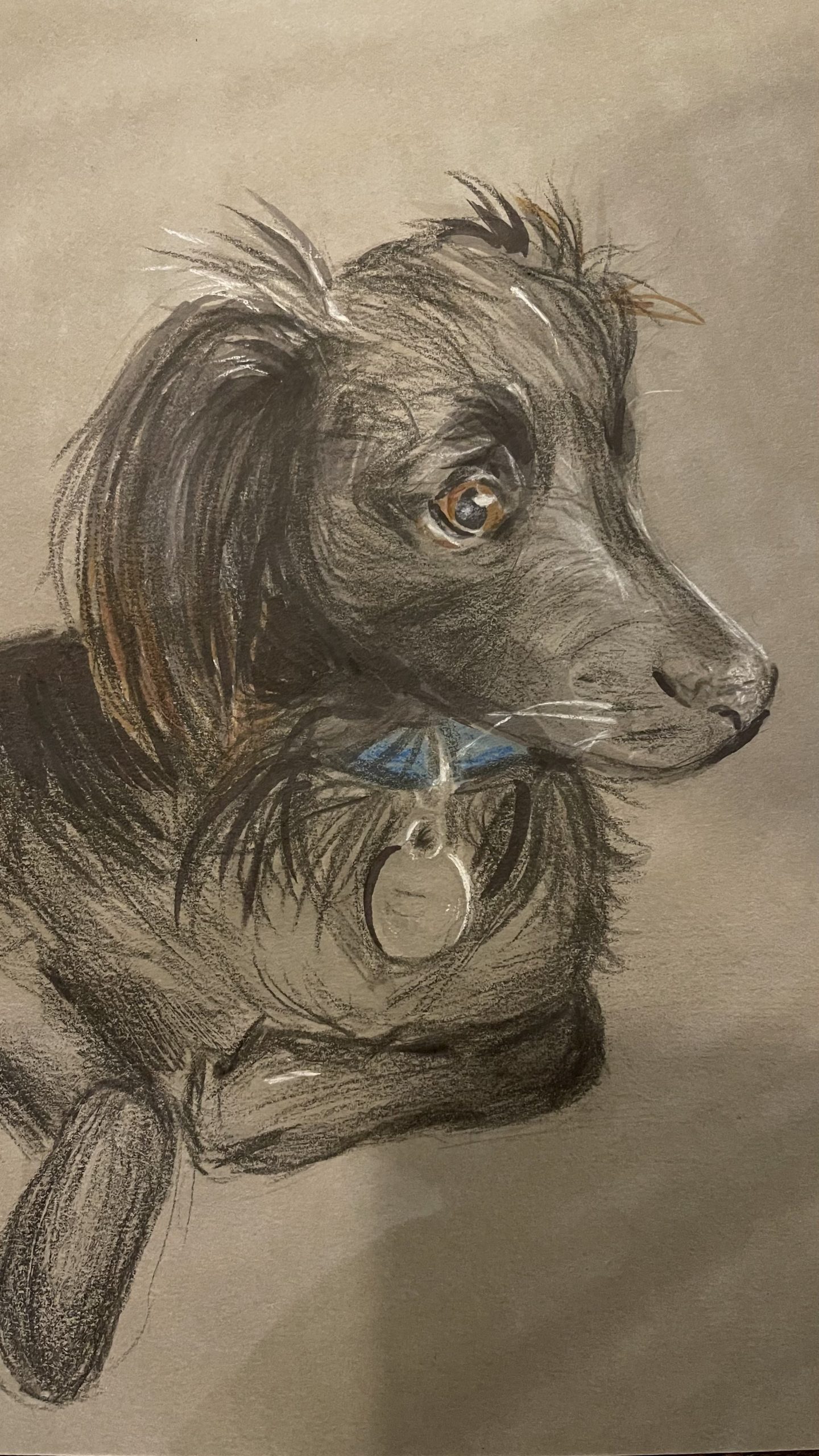 Sammie